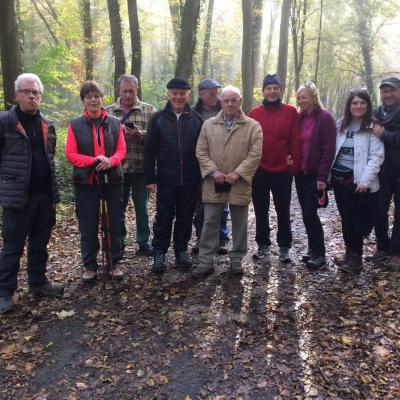 Marche Adeps à Couillet (4/11/2018)