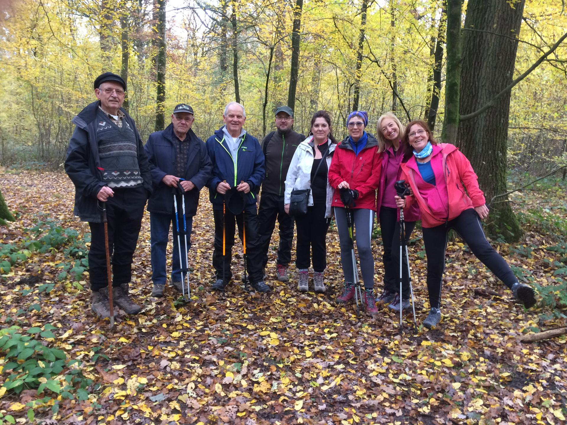 Marche Adeps à Thy-le-Château (11/11/2018)