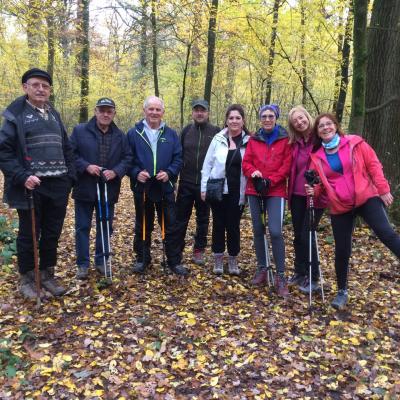 Marche Adeps à Thy-le-Château (11/11/2018)