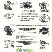 Le furet merbien 2025